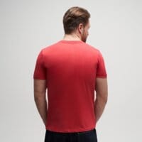 T-shirt, koszulka męska TIMBERLAND T-SHIRT LINEAR LOGO SHORT SLEEVE TEE tb0a5upqn961 kolor czerwony