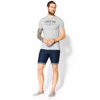 T-shirt, koszulka męska TIMBERLAND T-SHIRT SS KNBEC RVROOT a1s1p052 kolor szary