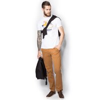 Spodnie męskie TIMBERLAND SPODNIE CHAPM CHINO a1ksp93234 kolor brązowy