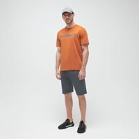 T-shirt, koszulka męska TIMBERLAND T-SHIRT LINEAR LOGO SHORT SLEEVE TEE tb0a5upq8881 kolor pomarańczowy