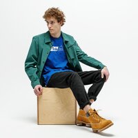 T-shirt, koszulka męska TIMBERLAND T-SHIRT KENNEBEC RIVER HORIZONTAL GRAPHIC tb0a2cgu4541 kolor niebieski