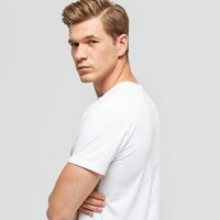 T-shirt, koszulka męska TIMBERLAND T-SHIRT SS KENNEBEC RIVER BRAND TEE TREE tb0a1l6o1001 kolor biały