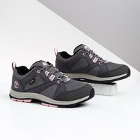 Buty outdoor dziecięce TIMBERLAND NEPTUNE PARK LOW GTX WL tb0a223x0331 kolor szary