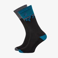 Męskie skarpetki TIMBERLAND SKARPETY 2PP STRIPED MOUNTAIN tb0a1exx0011 kolor multicolor