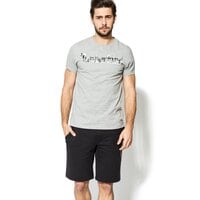T-shirt, koszulka męska TIMBERLAND T-SHIRT SS KENNEBEC RIVER SEASONAL a1l6ph81 kolor szary