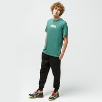 T-shirt, koszulka męska TIMBERLAND T-SHIRT SMALL LOGO TEE tb0a2g42j741 kolor zielony