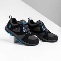 Buty outdoor dziecięce TIMBERLAND NEPTUNE PARK LOW GTX WL tb0a21z60151 kolor czarny