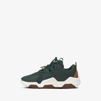 Sneakersy dziecięce TIMBERLAND EARTH RALLY FLEXIKNIT OX tb0a2cmey181 kolor zielony
