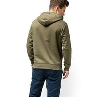 Bluza męska TIMBERLAND BLUZA SLS SEASONAL LOGO HOODIE SWEAT a1n9ba58 kolor zielony